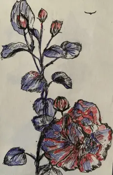 Thiên Niên Địa